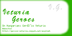 veturia gerocs business card